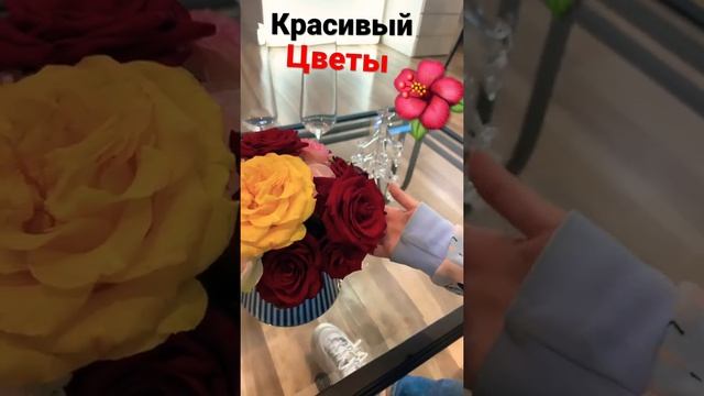 Очень красивые цветы ? смотреть онлайн
