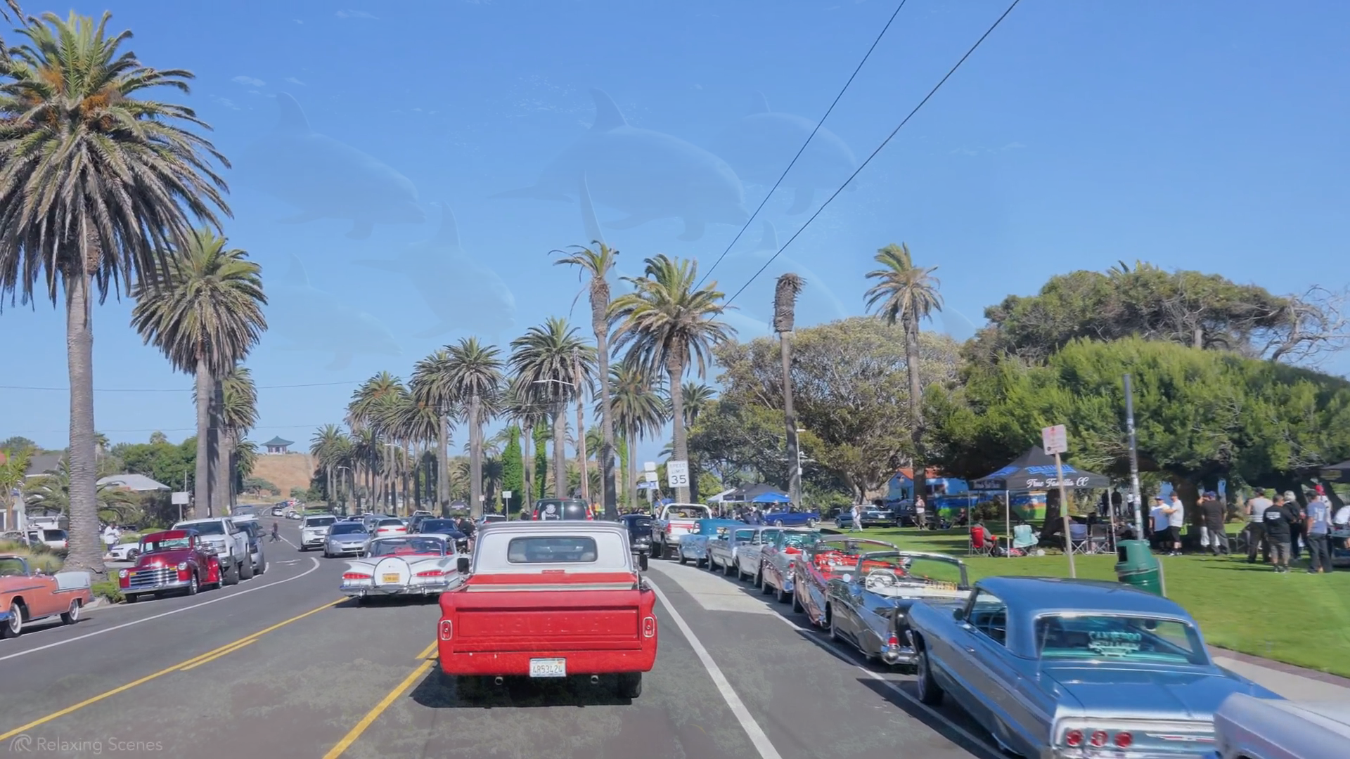 Franky Wah ?- Alone?