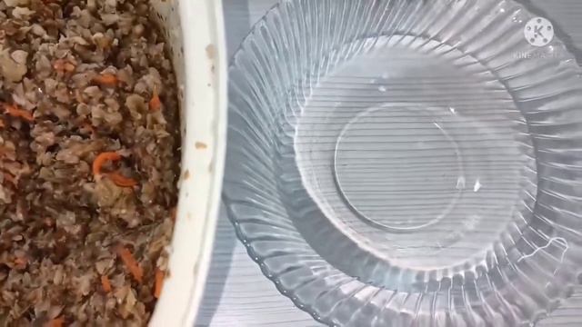 Гречаники. смотреть онлайн