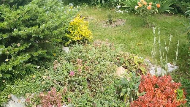 Жизнь на даче. Соседи в гостях смотреть онлайн