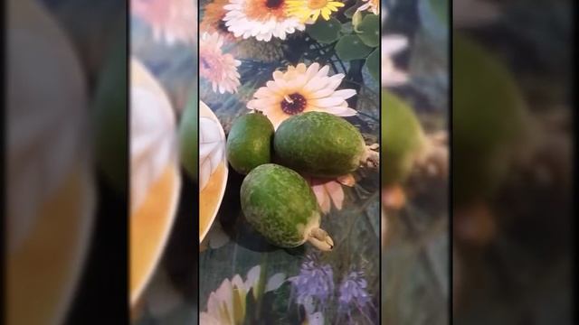 #ФЕЙХОАКомпот из фейхоа смотреть онлайн