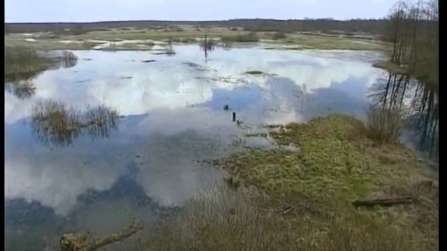 Беларусь - нетронутая природа в центре Европы. Документальный фильм смотреть онлайн