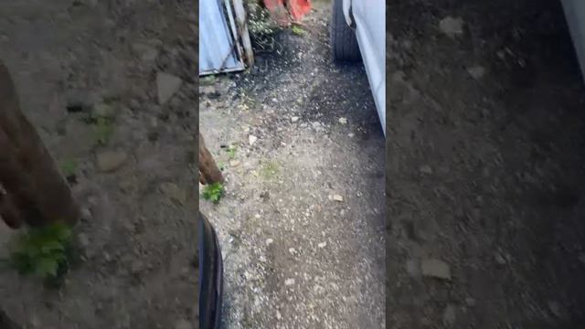 МЕХАРАМ МОШИНХОИ БАД АЗ АВАРИЯ +7 909 508-62-62 смотреть онлайн