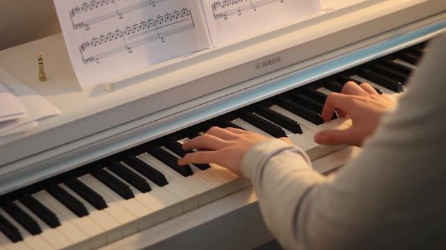 Ludovico Einaudi - Fly