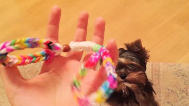 Самодельная игрушка) смотреть онлайн