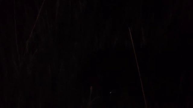 Обзор на похороны улитки смотреть онлайн