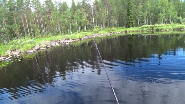 ДВА ДНЯ В ТАЙГЕ / ИЗБА / РЫБАЛКА / СПИННИНГ / ЖЕРЛИЦЫ / БЫТ / Часть 2 смотреть онлайн
