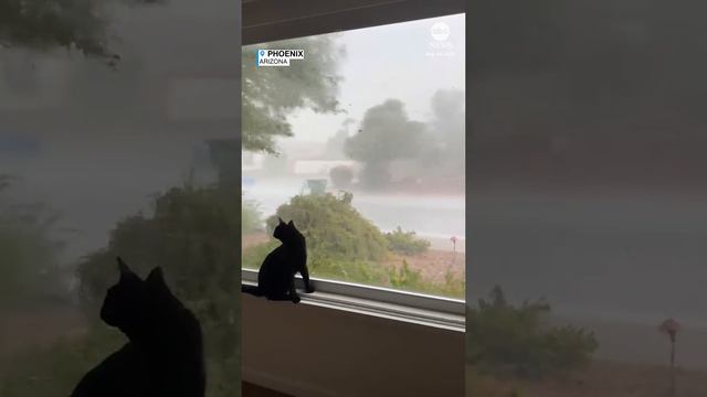 Шторм смотреть онлайн