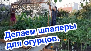 Как сделать красивые шпалеры для огурцов.