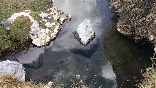 Renacuajos en Laguna de Alchichica. смотреть онлайн