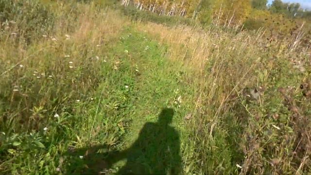 Самодельная удочка за 10 минут из бутылки. Ловим рыбу. смотреть онлайн