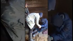 Позывной "Альфа"