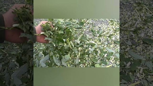 Садовый измельчитель 2в1 своими руками... смотреть онлайн