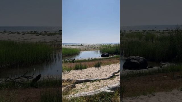 ДАР ..?..могучего воображения..Александра Грина..1-ая часть. смотреть онлайн