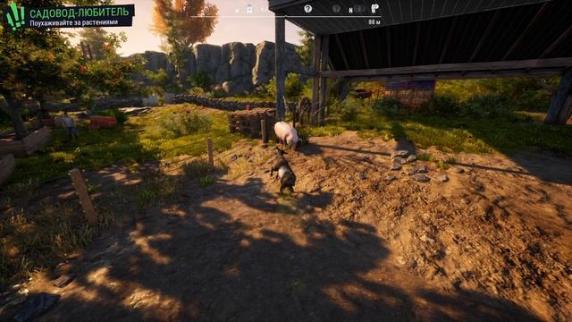 GoatSimulator -свинья