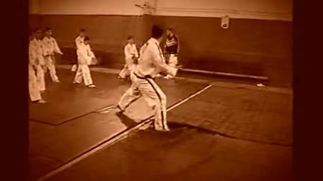 Кван-Ге туль ( Kwang-Gae Tul ). Тхэквондо ИТФ. Мастер Зо Вон Бон. смотреть онлайн