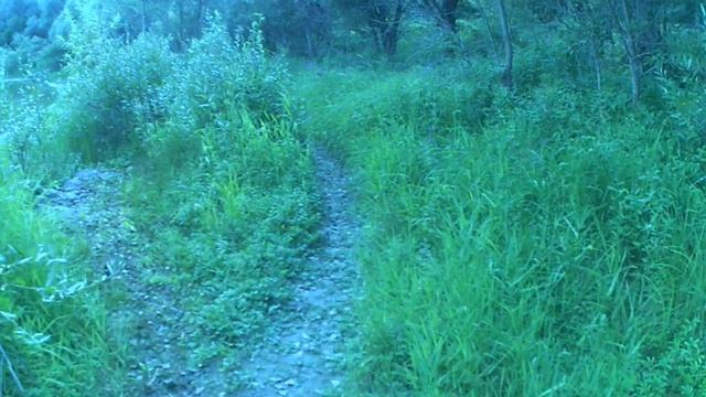 Рыбалка на Оби рыбачим на острове протока Оби #ru_kompass #рыбалка