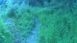 Рыбалка на Оби рыбачим на острове протока Оби #ru_kompass #рыбалка