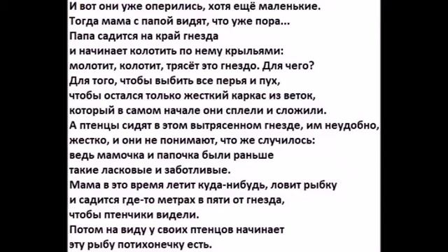 У орлов ни один орлёнок не разбивается!Никогда! смотреть онлайн