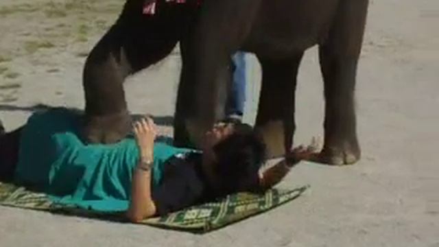 Leroy got stomped.. смотреть онлайн
