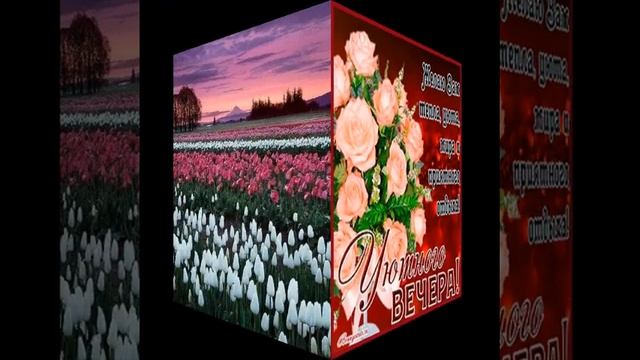 ДОБРЫЙ ВЕЧЕР. Поет Анатолий Полотно и Фёдор Карманов. смотреть онлайн