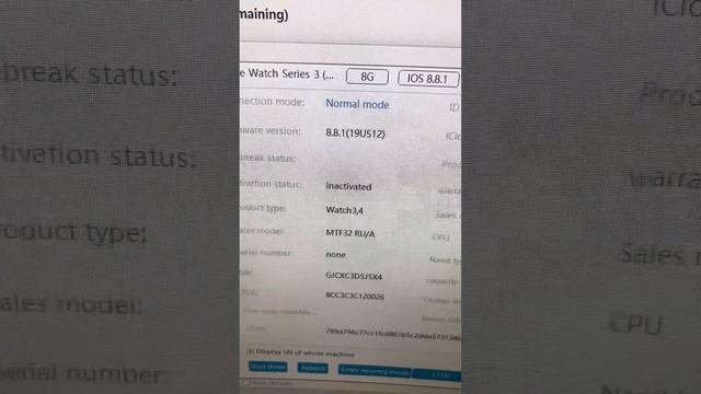 Прошивка/обновление Apple Watch Series 3 на watchOS 8.8.1 смотреть онлайн