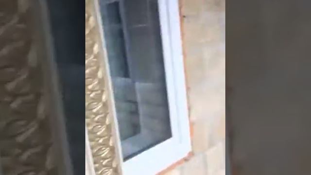 Двери кованые смотреть онлайн