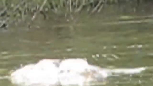 Раки руками Самара 3-й затон смотреть онлайн