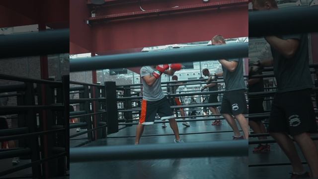 Академия бокса х adidas SPEED 501 combatmarkt смотреть онлайн