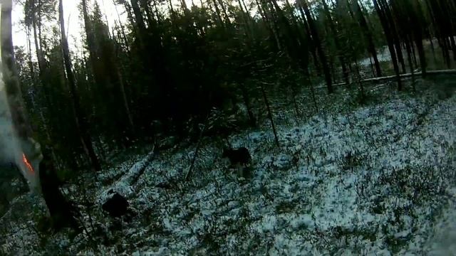 охота осень 2023 смотреть онлайн