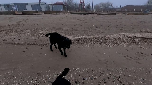 Ейск. Как-то так. Зима и море. Тоже класс! смотреть онлайн