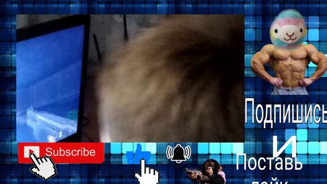 вопрос который мучает всё человечество смотреть онлайн