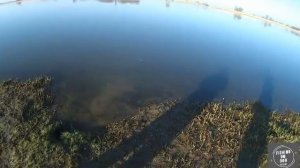 Рыбалка на Дону. Рогожкино. Ранняя весна. Рыбец. Фидергам. Бойлы в помощь