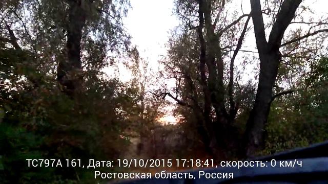 Шумел камыш смотреть онлайн