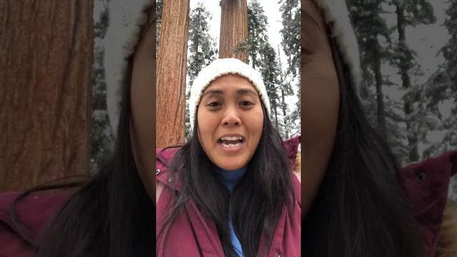 Ascension Oracle Reading for the Spring Equinox смотреть онлайн