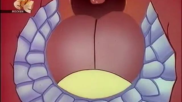 15 Дядя микро и дядя Скопо объяснят мне почему мы чувствуем вкус и запах смотреть онлайн