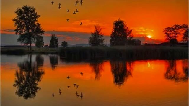 Шуфутинский - Не стреляйте в белых лебедей.. смотреть онлайн