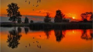 Шуфутинский - Не стреляйте в белых лебедей..