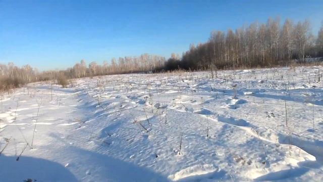 На волчьей тропе смотреть онлайн