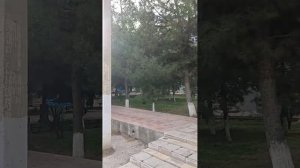 Пятый день в клинике Эргаш ота