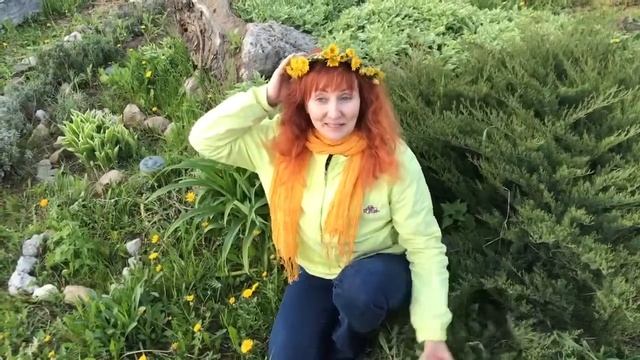 13 мая Одуванчик - всем пример! Праздник Каждый День. Рита Некрасова смотреть онлайн