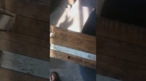 Самоделка для стрижки баранов