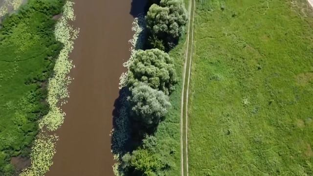 Солотча смотреть онлайн