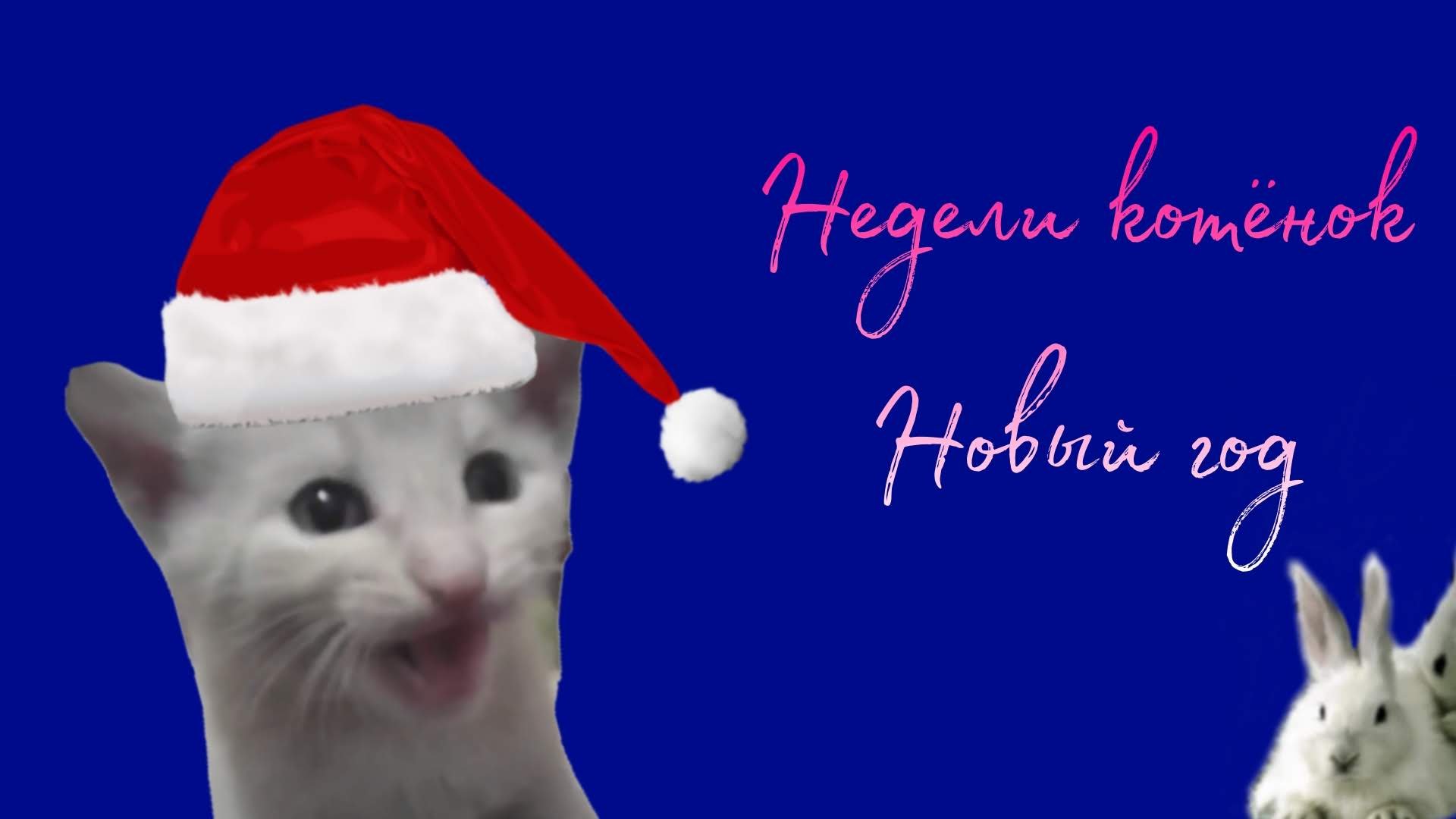 Недели котёнок Новый год смотреть онлайн