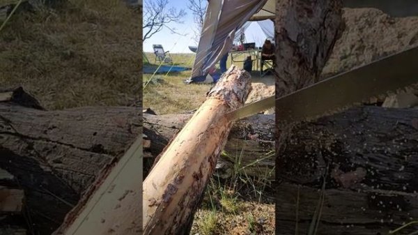 Тест складной японской пилы Siky Bigboy 360 на сухой лиственнице