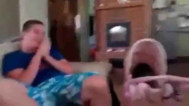 Смешной котэ не лыком шит/ puss is not easy смотреть онлайн