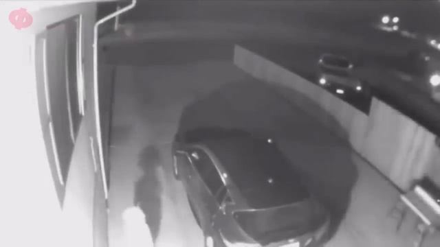 12 ЖУТКИХ ВИДЕО ОТ КОТОРЫХ ТЫ ОФИГЕЕШЬ ПОПРОБУЙ НЕ ИСПУГАТЬСЯ смотреть онлайн