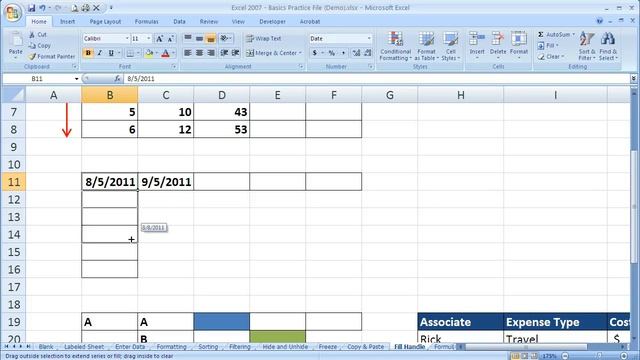 How to copy cells using the Fill Handle in Excel 2007 (Excel 07-019) смотреть онлайн