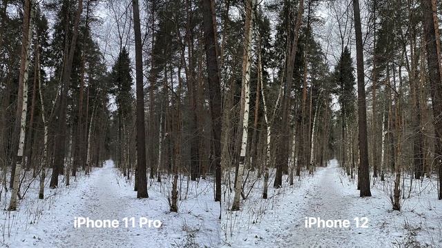 iPhone 12 vs iPhone 11 Pro, Сравнение Айфонов, Что выбрать смотреть онлайн