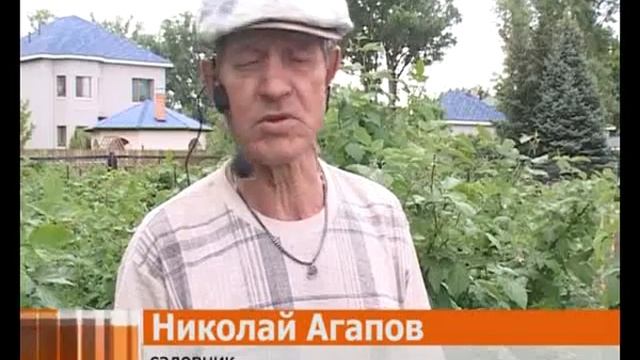 Дача (Рика ТВ) от 13 июня 2013 года смотреть онлайн